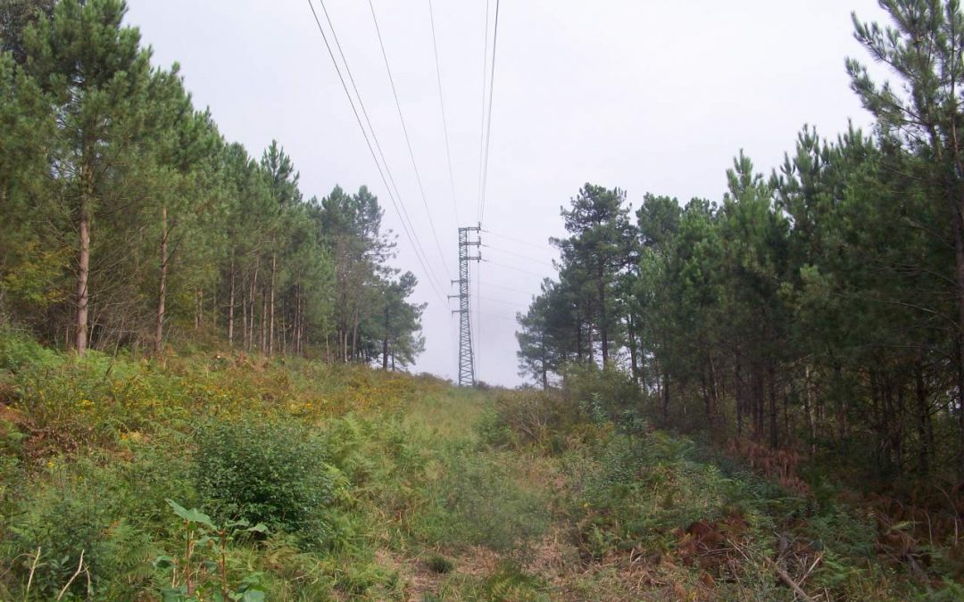 Land Management