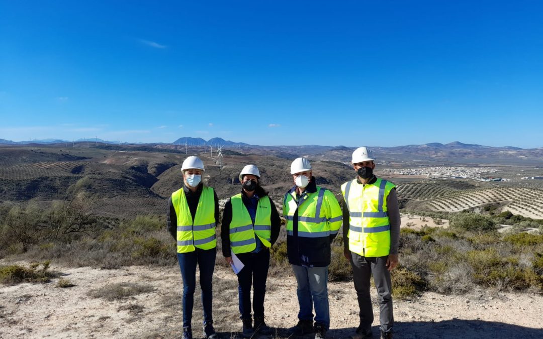Parque eólico Martín de la Jara y subestación transformadora «El Álamo 220 kV»