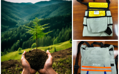 Environmental Commitment at Boslan: Reforestation and Circular Economy